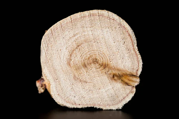 Текстура поперечного сечения можжевельника. Образец заднего фона пня дерева. Кусочек можжевельника . — стоковое фото