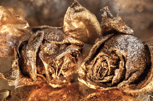 Abstrakter Makro-Kunsthintergrund mit goldenen Rosen und Wassertropfen. Symbol für Liebe, Reichtum, Reichtum. — Stockfoto