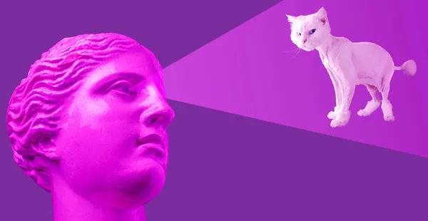 Modern conceptual art poster with purple pink antique bust and white cat. Contemporary art collage. — Stock Photo, Image