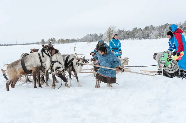 Russkinskie, Surgut, KhMAO-Ugra, Siberia, Russia, 2019.03.23. National holiday of reindeer herders, hunters, fishermen. — Stock Photo, Image