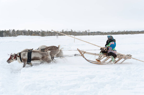 Russkinskie, Surgut, KhMAO-Ugra, Siberia, Russia, 2019.03.23. National holiday of reindeer herders, hunters, fishermen.