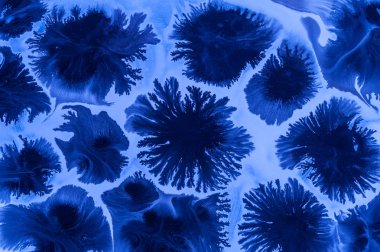 Renkli doku soyut. Renkli resim arka plan. Doğal lüks. Kopya alanı.