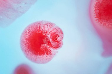 Renkli doku soyut. Renkli resim arka plan. Doğal lüks. Kopya alanı.