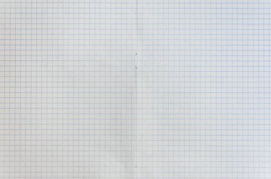 Mühendislik grafik ızgara kağıt Sayfası. Şablon, tasarım veya resim için basit arka plan dokusu.