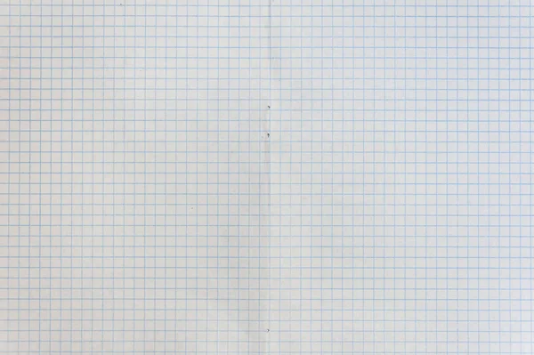 Sheet of engineering graph grid paper. Simple background texture for template, design or art. Royalty Free Stock Images