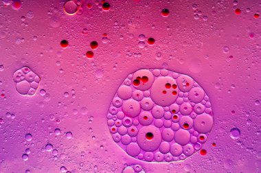 Renkli yağ mürekkep kabarcıklar ve damla. Soyut şablon karma doku arka plan. Duvar kağıdı deseni.