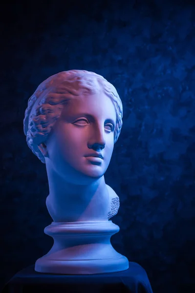 濃い青色のテクスチャーの背景に古代の彫像金星の頭の石膏コピー。石膏彫刻女性の顔. — ストック写真