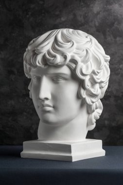 Koyu dokulu arka plan üzerinde antik heykel Antinous baş Alçı kopyası. Alçı heykel adam yüz.