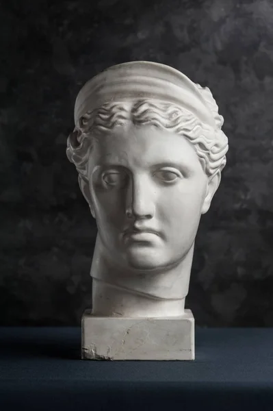 女性頭部の彫刻 ホワイト 51maBqToDVL._UF350,350_QL80_.jpg