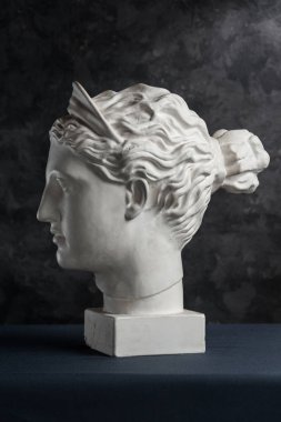 Diana heykelinin alçıtaşı kopyası koyu dokulu arka planda. Alçı heykel kadın yüzü.