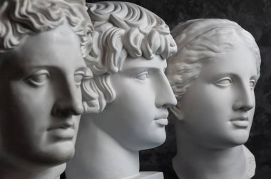 Antik heykel Apollo, Antinous ve Venüs baş alçı kopya koyu dokulu arka plan üzerinde. Alçı heykel yüz.