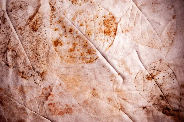 Echte Textur der Abdrücke von Pflanzenblättern auf zerknülltem Papier. Keine Kunst. Einfacher Hintergrund. — Stockfoto