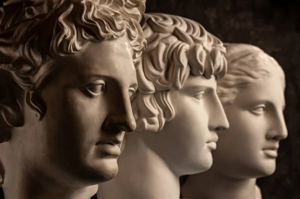 Grupo bustos de yeso de estatuas antiguas cabezas humanas para artistas sobre un fondo oscuro. Esculturas de yeso de rostros antiguos. Estilo de época renacentista. Materia académica. Blank para la creatividad . —  Fotos de Stock