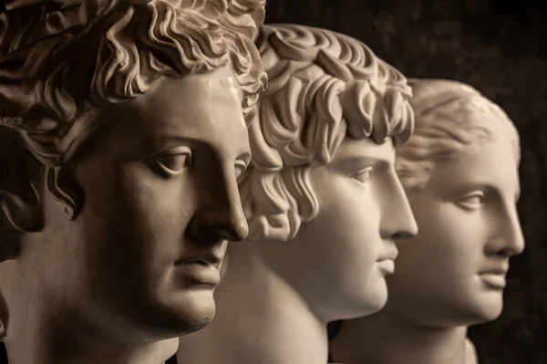 Group gypsum busts of ancient statues human heads for artists on a dark background. Plaster sculptures of antique people faces. Renaissance epoch style. Academic subject. Blank for creativity. — Stock Photo, Image