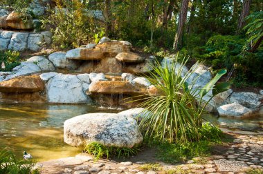 Tropikal peyzaj tasarımı Bahçe. Küçük su birikintisi, büyük taşlar ve şelale