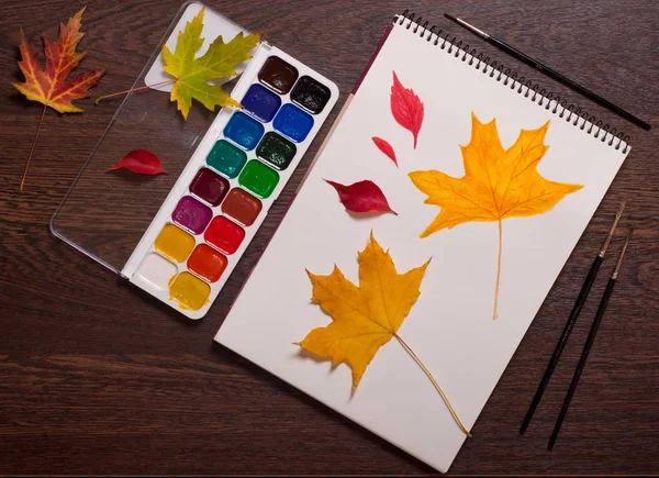 Watercolor Brushes Album Autumn Leaves Table Autumn Concept — Stock Photo, Image