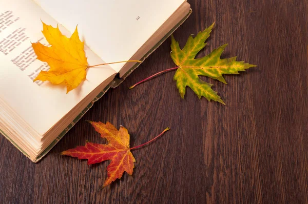 Książki Kolorowych Liści Jesienią Podłoże Drewniane Pojęcie Spadku — Zdjęcie stockowe