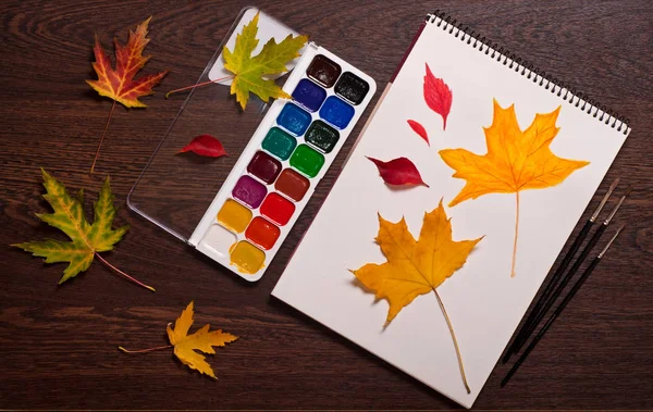 Watercolor Brushes Album Colorful Autumn Leaves Table — Stock Photo, Image