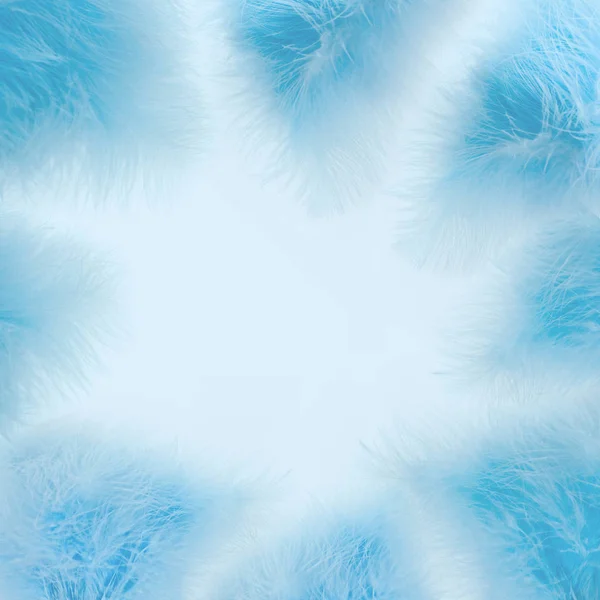 Inschrijving Blauwe Winter Abstracte Achtergrond Wazig Zachte Veren Ruimte Voor — Stockfoto