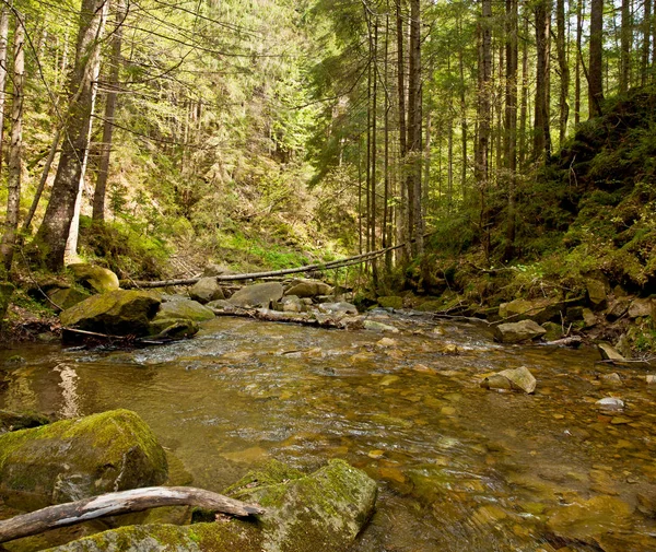 Belle Rivière Montagne Printemps Montagnes Des Carpates Ukraine — Photo