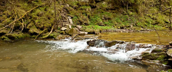 Rio Montanha Primavera Cárpatos Montanhas Ucrânia — Fotografia de Stock