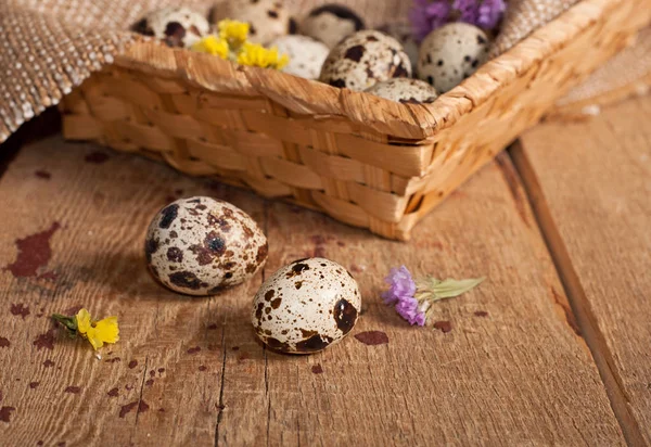 Uova Quaglia Cesto Fiori Natura Morta Pasqua — Foto Stock