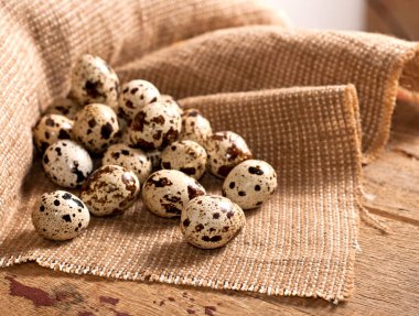 Bıldırcın yumurtası çuval bezi üzerinde