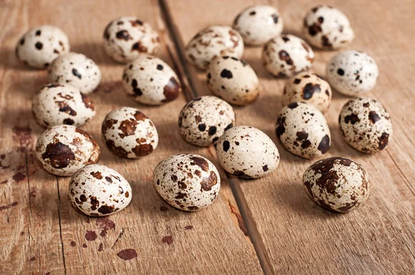 Many Quail eggs on table — Stock Photo, Image