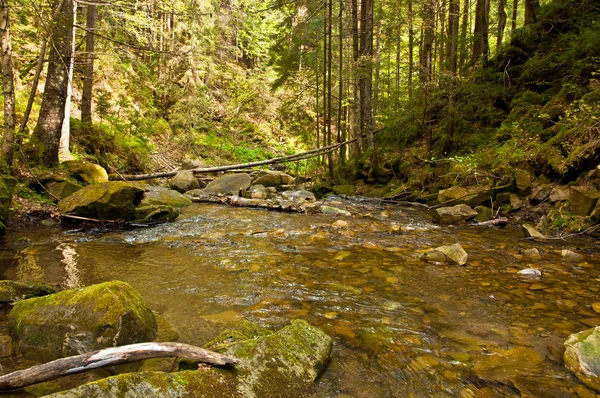 Il paesaggio del fiume di montagna — Foto Stock