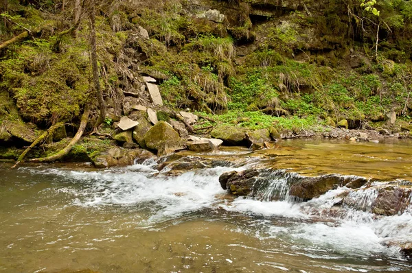 Il paesaggio del fiume di montagna — Foto Stock