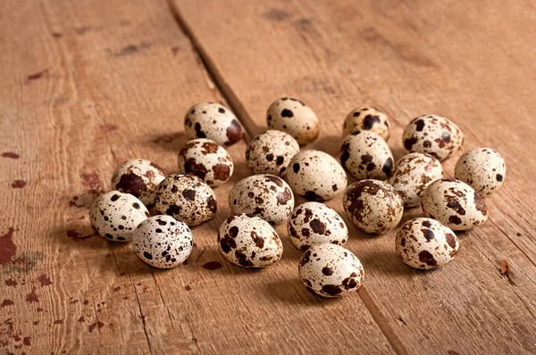 Many Quail eggs — Stock Photo, Image