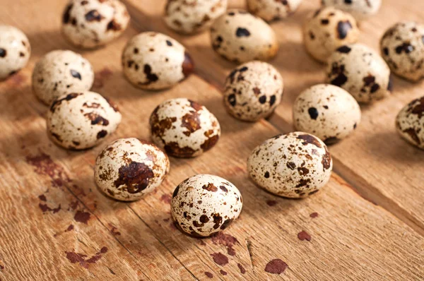 Quail eggs on the wooden table — Stock Photo, Image