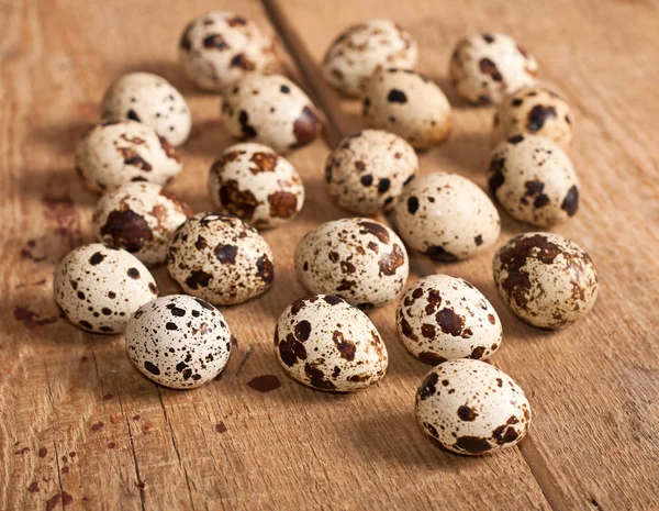 Quail eggs, close-up — Stock Photo, Image