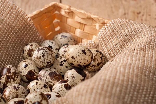 Quail eggs in the basket — Stock Photo, Image