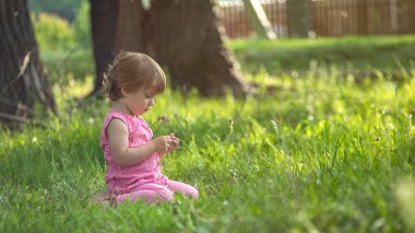 Sevimli küçük küçük çocuk ilk adımını yapıyor. Yürümeyi öğrenme kavramı. Tek başına gider. Yeşil çimenler ve gün batımı
