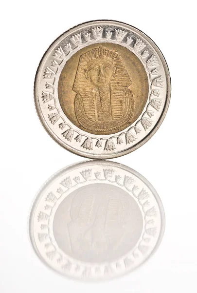 Monetę Funt Egipski Białym Tle — Zdjęcie stockowe