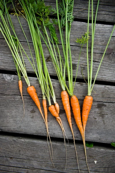 Bouquet Bébé Carotte Sur Fond Bois — Photo