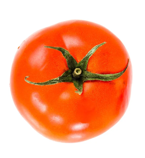 白色背景的新鲜西红柿 顶部视图 — 图库照片
