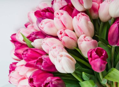 Arka planını ihale pembe laleler 