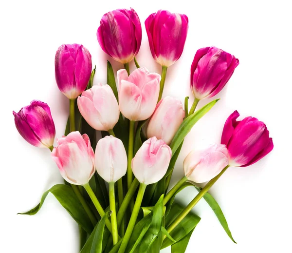 Bouquet Tulipes Roses Isolées Sur Fond Blanc — Photo