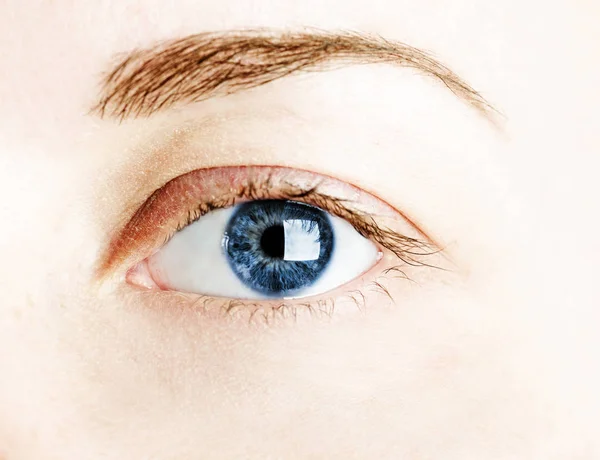 Ojo Femenino Azul Con Pestañas Largas —  Fotos de Stock