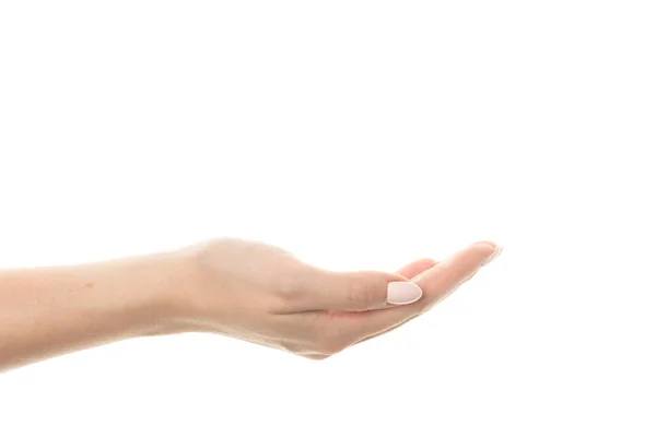 Leere Weibliche Hand Die Isoliert Auf Weiß Hält — Stockfoto