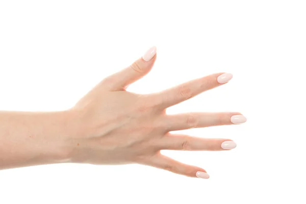 Γυναικείο Χέρι Δείχνοντας Χειρονομία Πέντε Δάχτυλα Είναι Απομονωμένα Λευκό Φόντο — Φωτογραφία Αρχείου