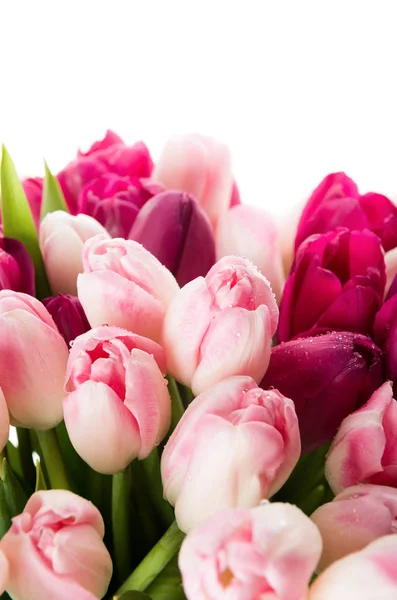 Bouquet Pink Tulips Vase — Stock Photo, Image