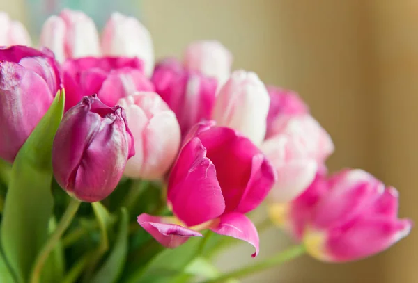 Bouquet Tulipes Roses Dans Vase — Photo