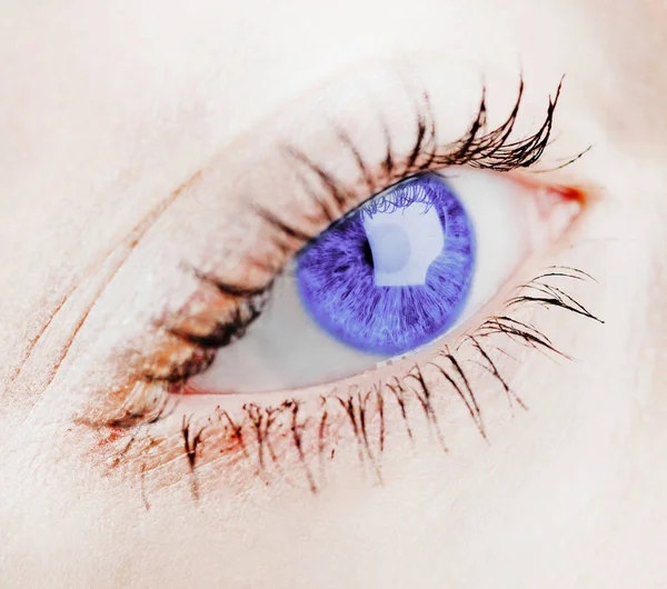 Schönes Blaues Weibliches Auge Nahaufnahme — Stockfoto