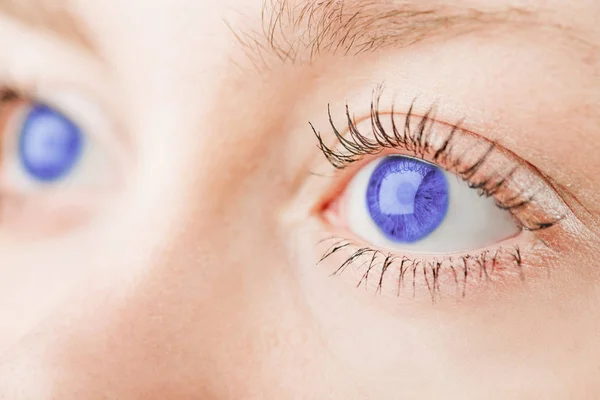 Hermosos Ojos Azules Primer Plano —  Fotos de Stock