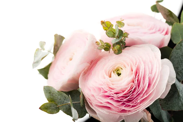 Virágok Rózsaszín Ranunculus Világos Háttér — Stock Fotó