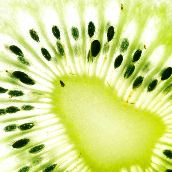 Green Kiwi Fruit White Background — Stock Photo, Image