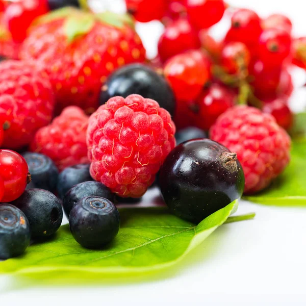 Arándanos Fresas Frambuesas Grosellas Negras Rojas —  Fotos de Stock